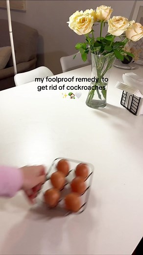 i had a cockroach infestation when i first moved into my apartment 🤢🏡🙈 fumigating didnt help, but after doing this i havent seen ONE in over a year 🫶🏼 cockroach recipe: INGREDIENTS: Equal parts: baby potato egg yolk sugar Double the amount of boric acid to the above ingredients Directions: -Airfry/ boil the egg -Microwave/ boil the baby potato -Cut up egg carton into separate holders -Mix together all ingredients. You can add drops of water to soften if necessary. -Roll into very small ball