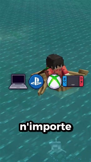 Plus de 700 000 joueurs sur mon serveur Minecraft Earth !