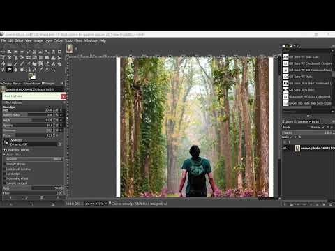 video 4 fuzzy selection, smudge and dodge burn tool in GIMP