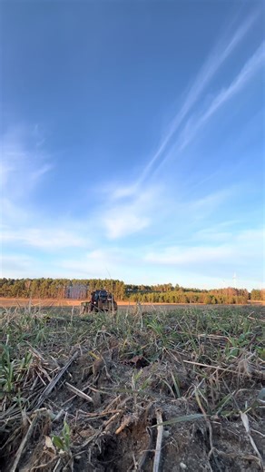 Exploring Traditional German Farming Practices