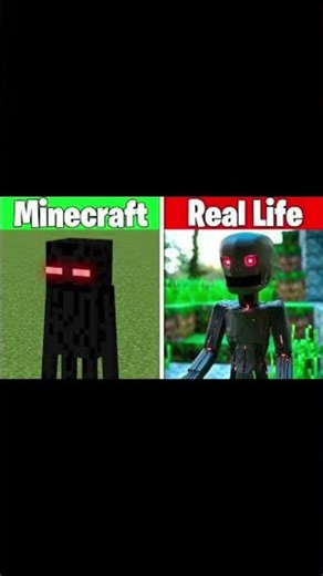 minecraft vs real life 😜😜#minecraft#tondaegamer#tondaegamer#minecraftmods#trading#gaming#viral