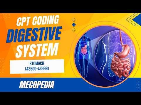 10. Digestive System (40490-49999) I Stomach (43500-43999) I