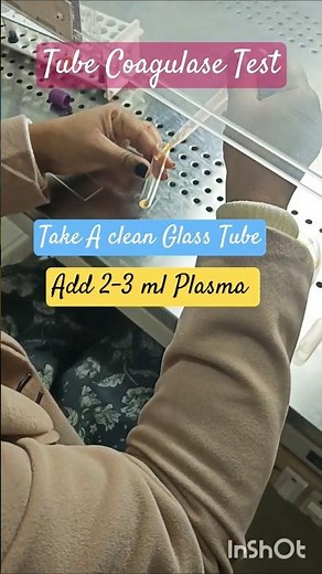 Tube Coagulase Test | Procedure Staphylococcus #microbiology #culture