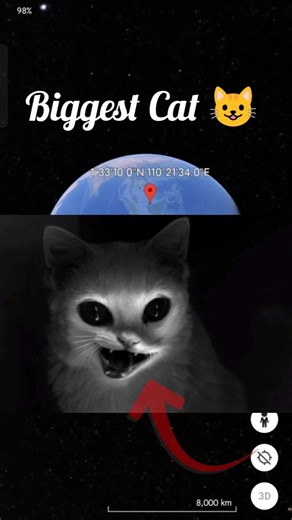 Biggest Cat 😺 Capture On Google Earth Map 🗾 #shorts #scary #shortvideo #trending