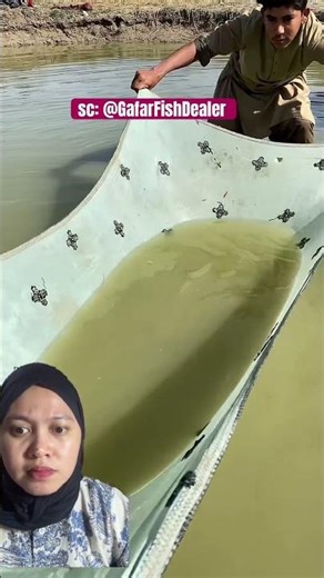 Uncle catches fish using cloth‼️#remix #trendingshorts #trending