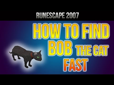 [RS07] How To Find Bob The Cat [HD]