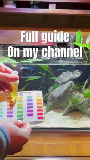 Best water testing method for beginners?