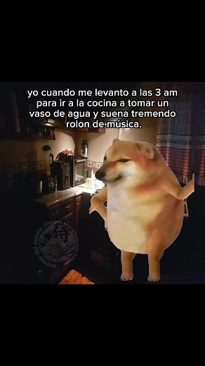 🎶🎶🎶 | Memes del perrito cheems con diferentes frases
