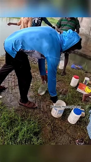 Under-Bridge Survival Fishing in Heavy Rain — Monster Mullet Catch