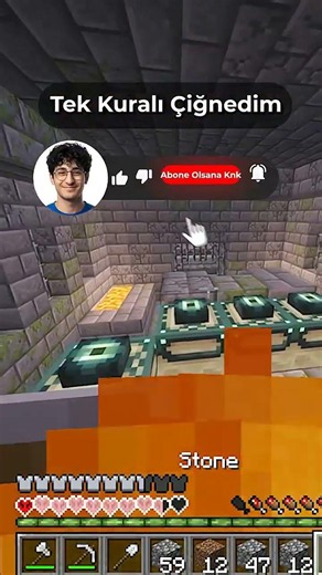 WHAT is the Only MINECRAFT Rule - #minecraft