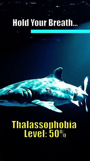 It's way bigger than you think... (Level 99) ⚓ #008