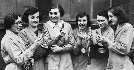 Why Do People Say 'Rabbit Rabbit' at the Start of Each Month? | HISTORY