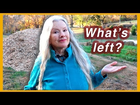 COMPLETE AFTER FREEZE GARDENS TOUR + planting garlic in raised bed!