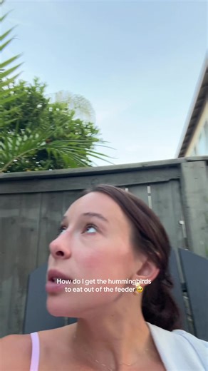 Calling all hummingbird experts!!