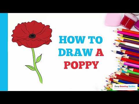 How to Draw a Poppy in a Few Easy Steps: Drawing Tutorial for Beginner Artists
