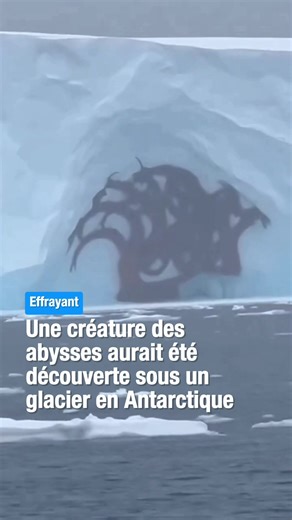 Découverte d'une créature mystérieuse sous un glacier