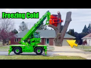 Only 10° Outside… Still Got It Done | Merlo Crane Tree Removal