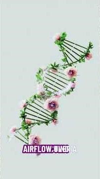 Simulating Reality with Python