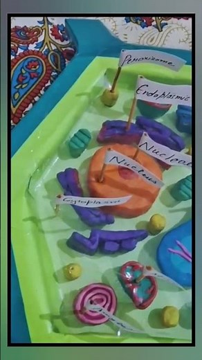 DIY Plant Cell Model 🪴 | #Clay & #Thermocol Craft | #School Science project #PlantCellModel