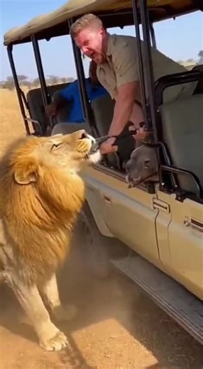 Hamster nelon (@hamster.nelon)’s videos with original sound - Hamster nelon