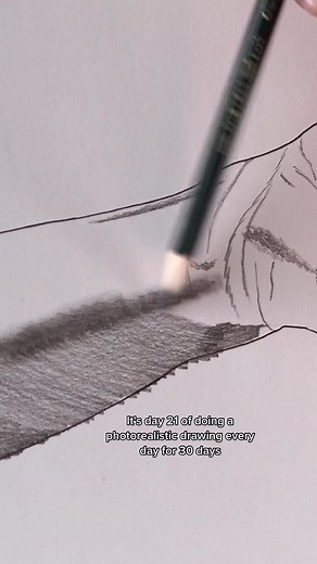 My studio assistant was a fan of this one 🐱🐦 #pencildrawing #hyperrealism #birdtok #birddrawing #eteportraits