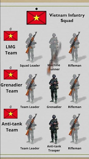 Vietnam's Infantry Squad Explained