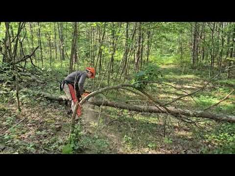 Cutting a log under compression and tension