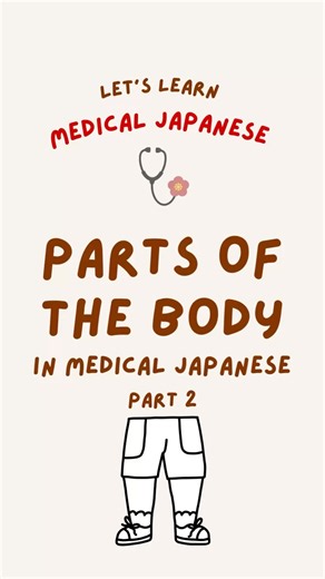 🦵Parts of the Body in Medical Japanese – Part 2