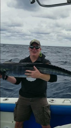 Monster Florida Keys WAHOO on Live Bait-South Florida Fishing Podcast