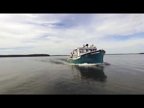 The University of Maine at Machias