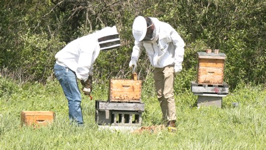 Students learn bee importance from beekeeper Dale Benedict