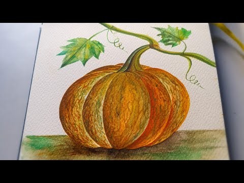 pumpkin watercolor Drawing steps