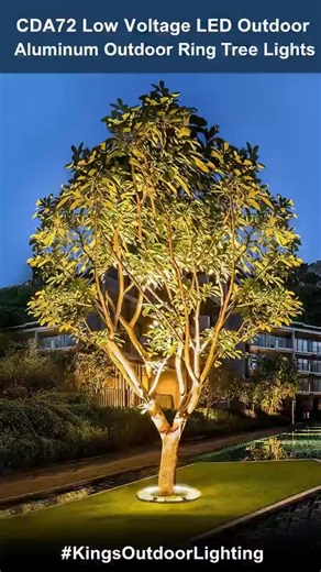 Ahorra 15% en Luces LED de Jardín para Año Nuevo