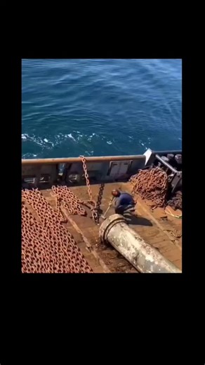 sci || tech || history on Instagram: "The ocean covers 71% of our planet, yet we’ve explored less than 5% of it! Here are some deep-sea mysteries that still keep scientists guessing: . . . The Giant Squid – Once considered a myth, this elusive creature wasn’t filmed alive until 2012. Still, we know very little about its life deep in the abyss. . . . The Bloop – A powerful ultra-low frequency sound detected in 1997. Was it an animal? Icequake? Something... unworldly? . . . The Baltic Sea Anomaly 