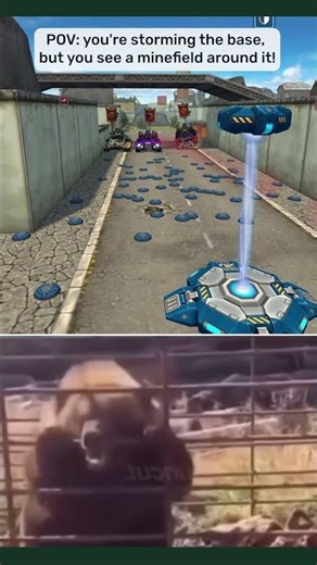 Animals! #tanki #tankionline #games #shorts