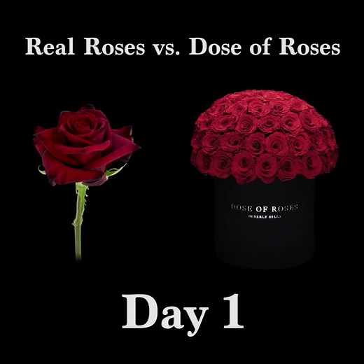 These aren't your average roses