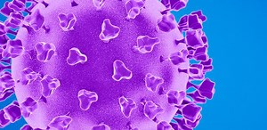 SARS-CoV-2｜新型コロナウイルス｜COVID-19 | ロシュ・ダイアグノスティックス