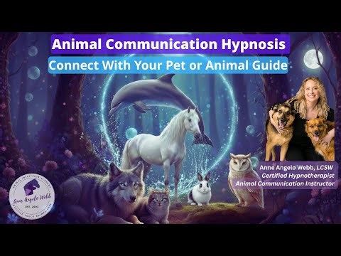 Sleep Relaxation Hypnosis Animal Communication Journey w isochronic music