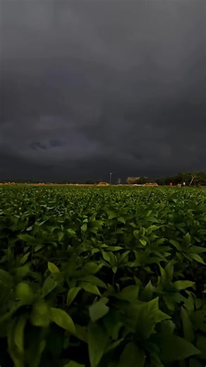 ‏#القران_الكريم