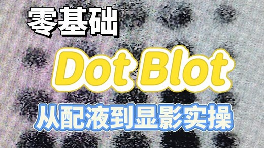 零基础学 Dot Blot！从配液到显影全流程实操演示
