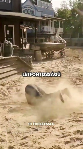 Kaszkadőr ESÉS Mester! 🎬