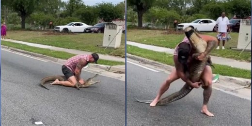 Watch: Barefoot Florida MMA fighter wrangles 8-foot alligator with bare hands