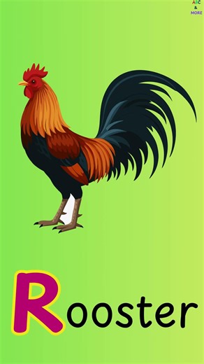 Trace Capital Letter R ✏️ | Learn ABC for Kids | Alphabet Writing Practice | ABC & More