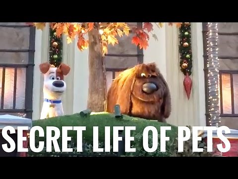 Full Universal's Superstar Parade Featuring Secret Life Of Pets Brand New Floats & Characters