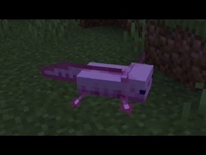 How to Summon a Pink Axolotl in Minecraft Java Edition