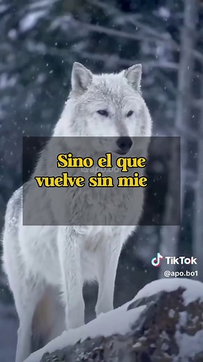 #tik_tok #apobo1 #fpyツ #escritos