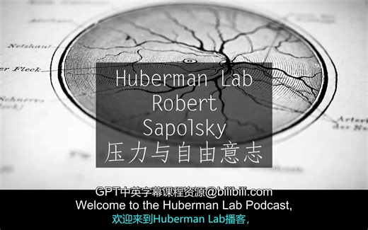 Huberman Lab《Robert Sapolsky博士：压力、睾酮与自由意志的科学[20210830]》中英字幕