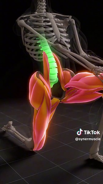 Tight hips = lower back pain. This stretch releases the iliopsoas and restores pelvic alignment. Your spine will feel the difference. #mobility #hipflexors #lowerback #stretching #posture #homeworkout