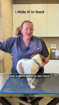 How to give a tablet to your pet