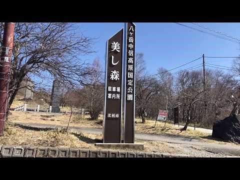 【絶景】八ヶ岳、清里高原～美し森ハイキング～2020.04.09